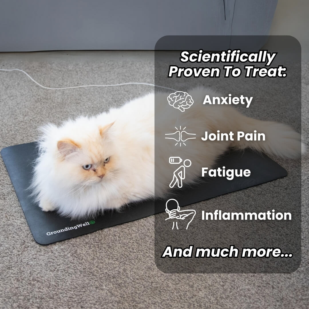Grounding Pet Mat for Dogs and Cats by Sereniya