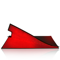 LED Bag