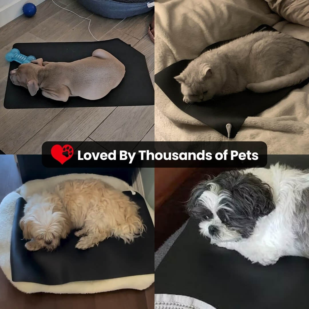 Grounding Pet Mat for Dogs and Cats by Sereniya